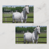 アラビアの馬の名刺 名刺 (正面/裏面)