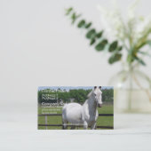 アラビアの馬の名刺 名刺 (スタンド正面)