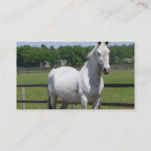 アラビアの馬の名刺 名刺 (裏面)