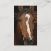 アラビアの馬の名刺 名刺 (裏面)