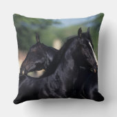 アラビアの馬の負傷 クッション (裏面)