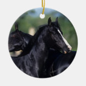 アラビアの馬の負傷 セラミックオーナメント (正面)