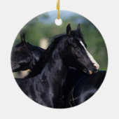 アラビアの馬の負傷 セラミックオーナメント (裏面)