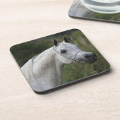 アラビアの馬のHeadshot 1 コースター (左側)