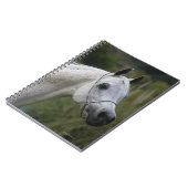 アラビアの馬のHeadshot 1 ノートブック (左側)