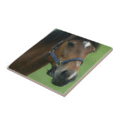 アラビアの馬はタイルを描きます タイル (側面)