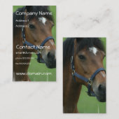 アラビアの馬は名刺を描きます 名刺 (正面/裏面)