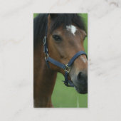 アラビアの馬は名刺を描きます 名刺 (裏面)