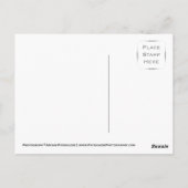 アラビアの馬 ポストカード (裏面)