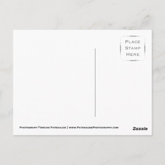 アラビアの馬 ポストカード (裏面)