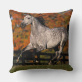 アラビアの馬: 秋1 クッション (裏面)