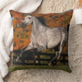 アラビアの馬: 秋1 クッション (ブランケット)