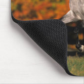 アラビアの馬: 秋1 マウスパッド (コーナー)