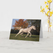 アラビアの馬: 秋2 カード (黄色い花)