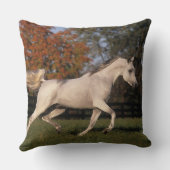 アラビアの馬: 秋2 クッション (裏面)