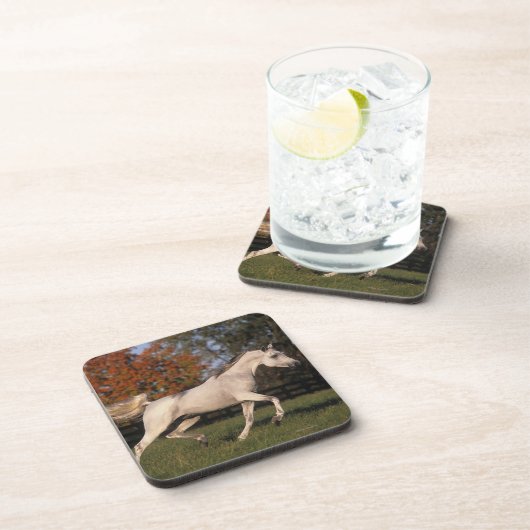 アラビアの馬: 秋2 コースター (右側)