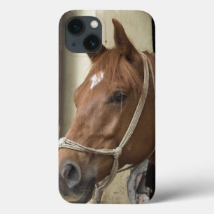 アラビアの馬 iPhone 13ケース