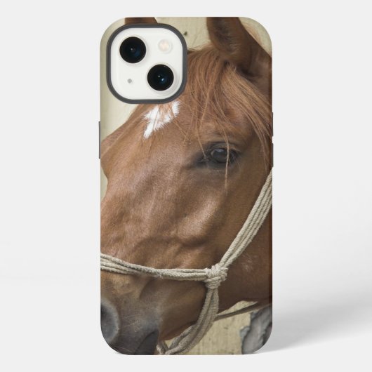 アラビアの馬 iPhoneケース (裏面)