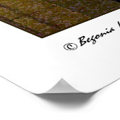 アラビアアルケード ポスター (角)