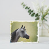 アラビアグランジ馬 ポストカード (スタンド正面)