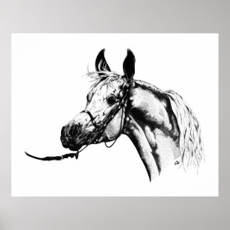 アラビアポートレートインペン&インク ポスター