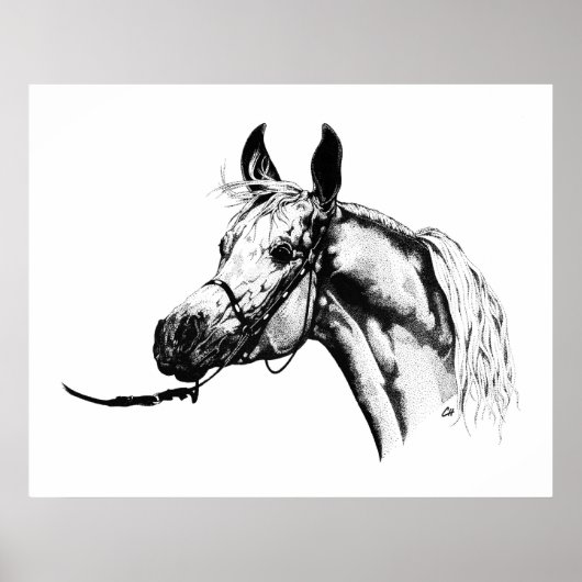 アラビアポートレートインペン&インク ポスター (正面)