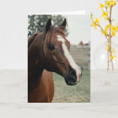 アラビアンアットパスチュール カード (黄色い花)