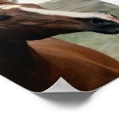 アラビアンアットパスチュール ポスター (角)