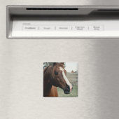 アラビアンアットパスチュール マグネット (インサイチュ (食洗機))