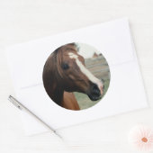 アラビアンアットパスチュール ラウンドシール (封筒)