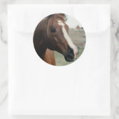 アラビアンアットパスチュール ラウンドシール (バッグ)