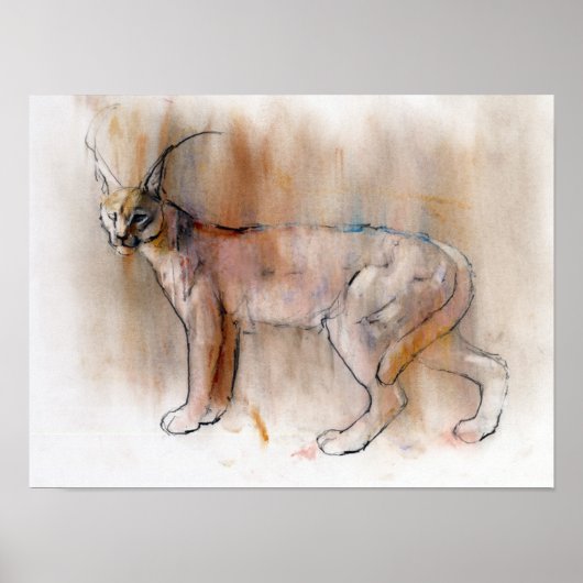 アラビアンカラカル2009 ポスター (正面)