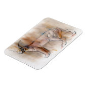 アラビアンカラカル2009 マグネット (左側)