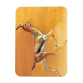 アラビアンガゼル2010 マグネット (縦)