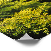 アラビアンスタリオン ポスター (角)