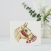 アラビアンスタリオン ポストカード (スタンド正面)