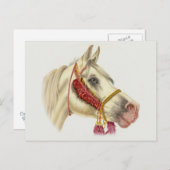 アラビアンスタリオン ポストカード (正面/裏面)