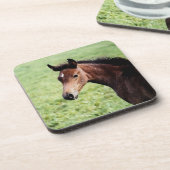 アラビアンフォール水カラーコースター コースター (左側)