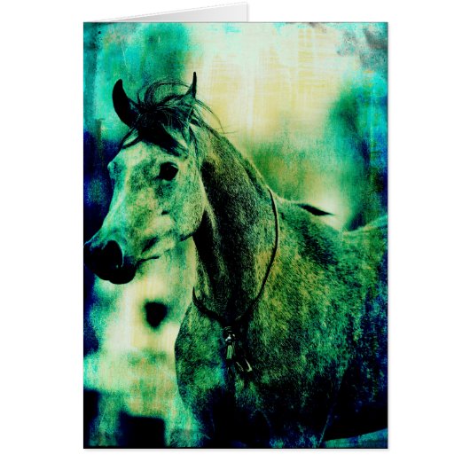 アラビアンブルース (正面)