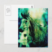 アラビアンブルース ポストカード (正面/裏面)