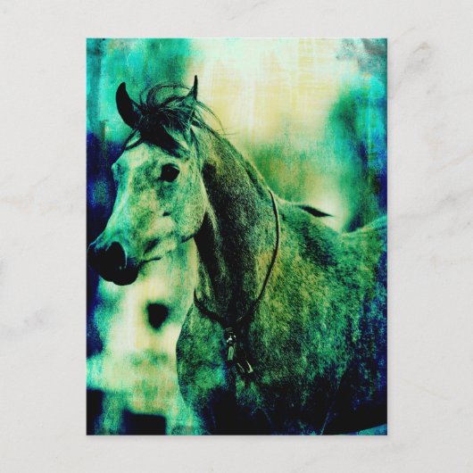 アラビアンブルース ポストカード (正面)