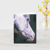 アラビアンヘッド「ビューティフルボーイ」 カード (黄色い花)