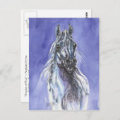 アラビアンホースアートハガキ ポストカード (正面/裏面)