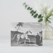 アラビアンホースヴィンテージイラストレーション ポストカード (スタンド正面)