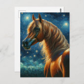 アラビアンホースinヴァンゴッホ星空の夜 ポストカード (正面/裏面)