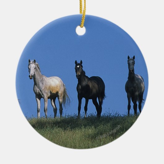 アラビア人のグループ セラミックオーナメント (正面)