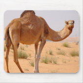 アラビア人のマウスパッドのためのラクダ マウスパッド (正面)