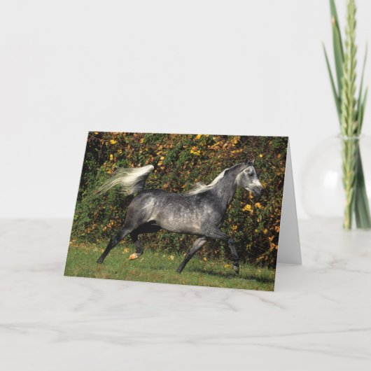 アラビア人の走ること: 秋 カード (正面)