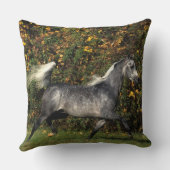 アラビア人の走ること: 秋 クッション (裏面)