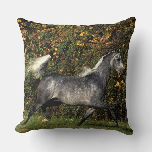 アラビア人の走ること: 秋 クッション (正面)